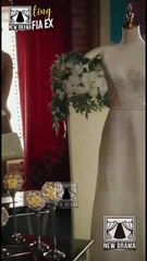 Arresting My Mafia Ex Full Movie