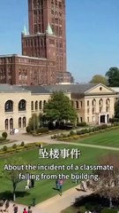 TORN BETWEEN LOVE AND LIES. Full Movies English Sub