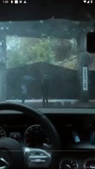 WHERE LOVE SHOULD HAVE BEEN English Sub