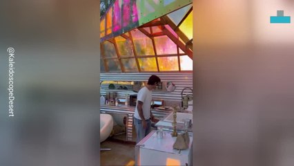 Zebra Is the Only Customer at This Bar