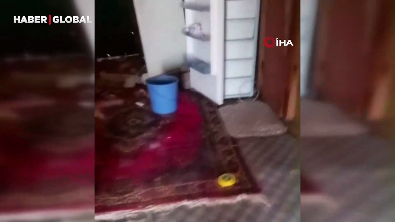 Trabzonlu vatandaşın köy evine giren ayıyla diyaloğu güldürdü: "La baba oğlu ne ettin kattın burayı birbirine"