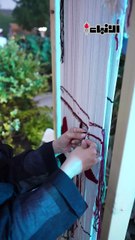 الأنباء في تغطية فعالية الكويت تجمعنا بحديقة الشهيد