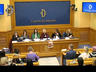 Roma - "Donne di Gaza: la guerra invisibile - Conferenza stampa di Andrea De Maria (14.11.25)