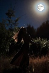 Calming Forest Views for Ultimate Relaxation