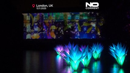 Um milhão de  luzes LED: Kew Gardens inaugura novo percurso de Natal