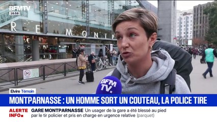 "Une dame a commencé à crier : ça tire, ça tire", raconte Elvire, témoin de l'incident à la gare Montparnasse
