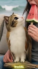 Meowl Eats a Watermelon Ice Cream #meowl #newsoul #memes #meme #cat #cats #catshorts #catmemes #viral #fyp