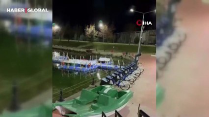 Tokat’ta heyecan dolu dakikalar: Su samuru iskeleye çıktı