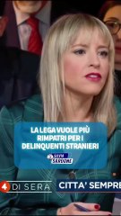 Sardone - Riteniamo prioritario intervenire con nuove norme sulla sicurezza (14.11.25)