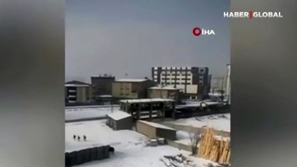 Hakkari'de başıboş köpek vahşeti! Çocuklara saldırdılar