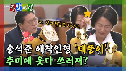 [돌발영상] 정성호, 이런 표정은 처음… '대똥이' 공격에 울그락불그락 / YTN