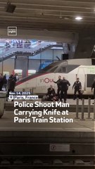 Police Shoot Man Carrying Knife at Paris Train Station