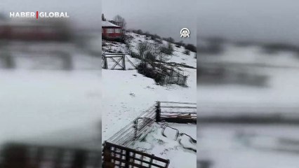 Bahçede bulduğu ekmekleri kara gömerken görüntülenen tilki ilgi odağı oldu