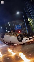 Reborn Sister Saves the Family