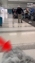 Ce chien retrouve son propriétaire à l’aéroport après 3 mois sans l’avoir vu