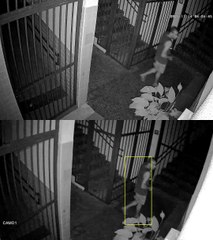 Criminosos invadem Instituto Histórico de Brasília e levam peças valiosas