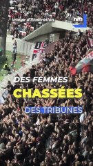 "Les filles font tâche" : quand des supportrices de l'OGC Nice sont virées des tribunes ...