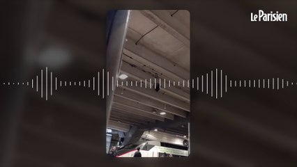 Coups de feu gare Montparnasse : des policiers tirent sur un homme armé d'un couteau