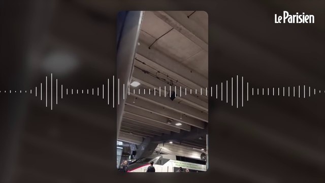 Coups de feu gare Montparnasse : des policiers tirent sur un homme armé d'un couteau