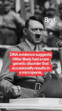 New DNA evidence suggests Hitler likely had a genetic disorder that occasionally results in micropenises.