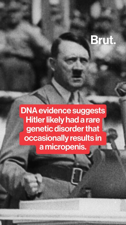 New DNA evidence suggests Hitler likely had a g...