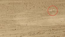 Perseverance Rover - Mars Helicopter Manoeuvre Captured