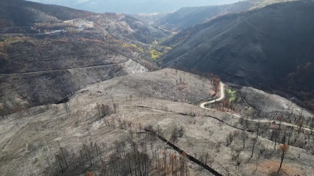 Después de los incendios forestales, en Galicia luchan contra la contaminación del agua