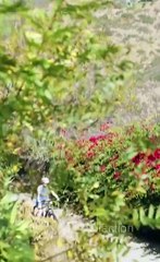 Get Into Bed With My Husband's Best Friend Full Movies Engsub