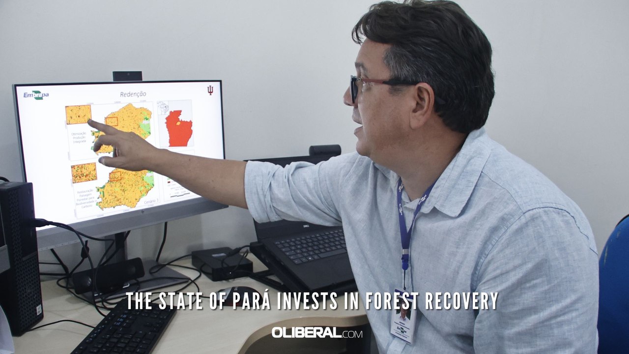 The state of Pará invests in forest recovery