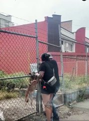 The world needs more people like this