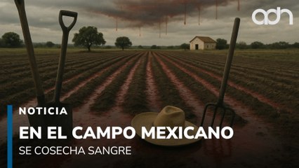 En el campo mexicano se cosecha sangre. El crimen organizado amenaza la Comarca Lagunera