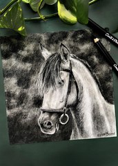 Dessin réaliste d'un cheval à la pierre noire