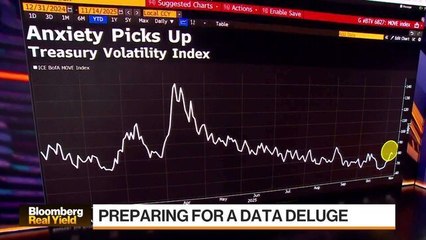 Market 'Starved' for Data: Vanguard's Quigley