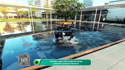 10_Assista esse robô muda de forma e desafia qualquer terreno