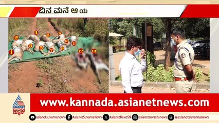 Updates on the Deaths of Christian Animals in Vilagaviya Zoo