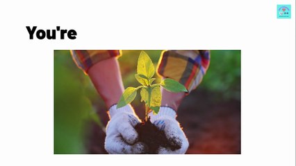 Backyard Healing Herbs by Mary Swanson 2025 Review: Grow Your Family’s Natural Medicine Garden