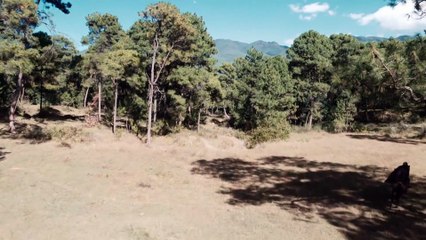 Demi-Gods and Semi-Devils - Season 1 Episode 18