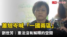 蕭旭岑喊「一國兩區」 劉世芳：憲法沒有解釋的空間