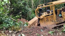 Clearing Oil Palm Land on a Hill with a D6R XL Bulldozer