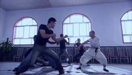 Last Kung Fu Monk Hindi