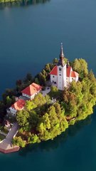 The scum let others touch me like I was nothing… but my true Alpha found me and made me his queen.