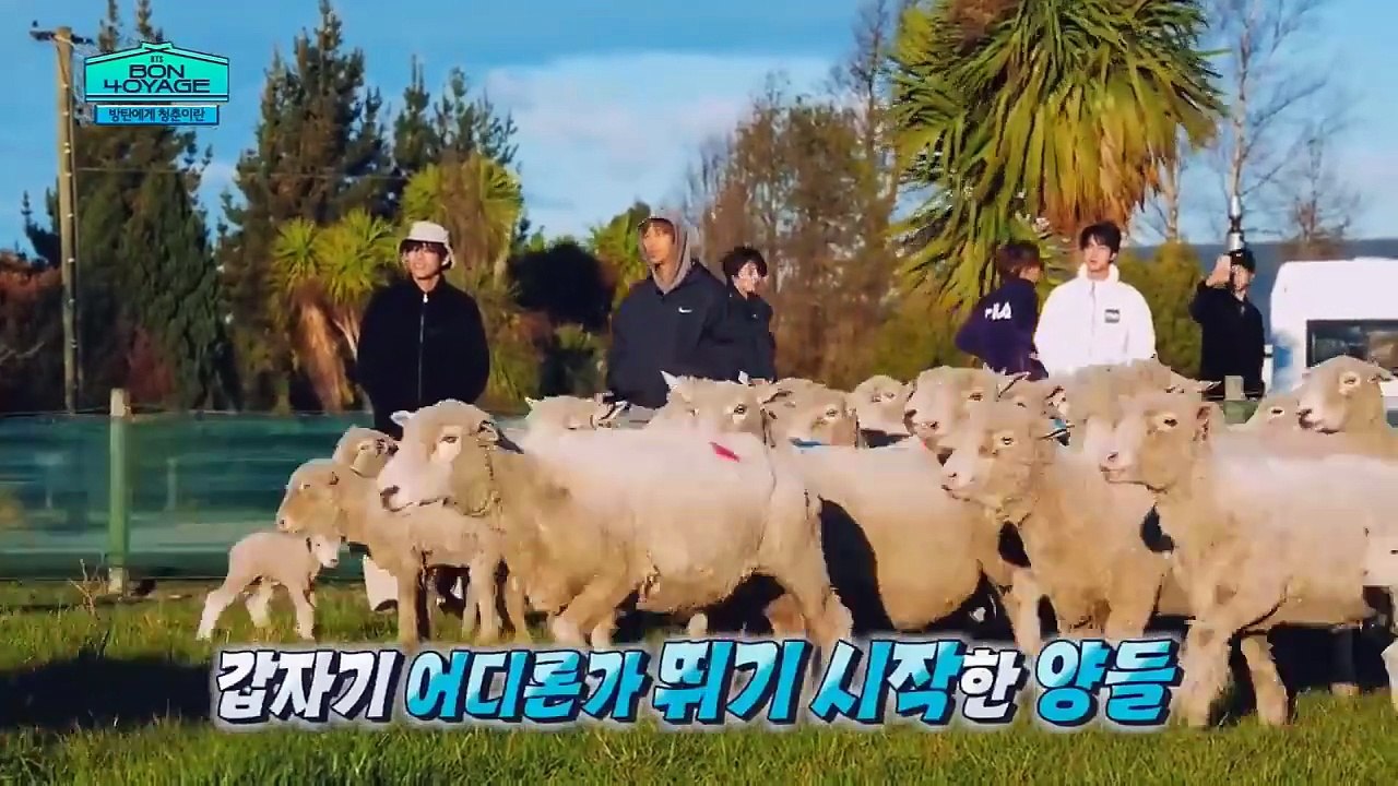 VID_20251115_103401_470