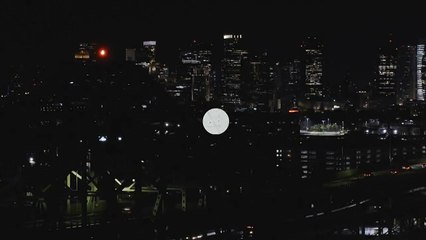 Boston Blue Episode 6 - Code of Ethics