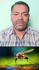 डेंगू बुखार में पेट फूलने का इलाज ।