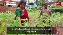 ജ്വല്ലറിയിൽ നിന്നും കൃഷിയിടത്തിലേക്ക്; ഇത് നഗര ഹൃദയത്തിൽ പൊന്ന് വിളയിക്കും 'വിജയ'ഗാഥ