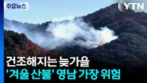 건조해지는 늦가을...'겨울 산불' 영남 가장 위험 / YTN