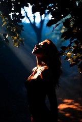 Whispers of the Forest: Nature’s Gentle Voice