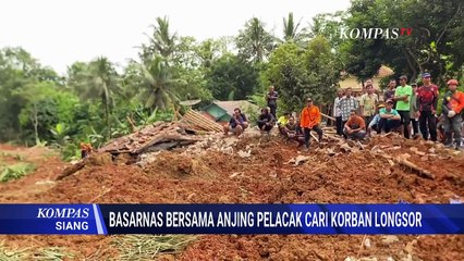 Aksi Anjing Pelacak Bantu Basarnas Cari Korban Tertimbun Longsor di Cilacap | KOMPAS SIANG