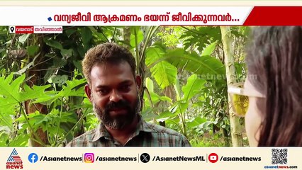 വന്യജീവി ശല്യം,അടച്ചുറപ്പുള്ള വീടുകളില്ല;നിസ്സഹായരായ ഈ മനുഷ്യർക്കും പറയാനുണ്ട്,പക്ഷെ കേൾക്കാൻ ആളില്ല