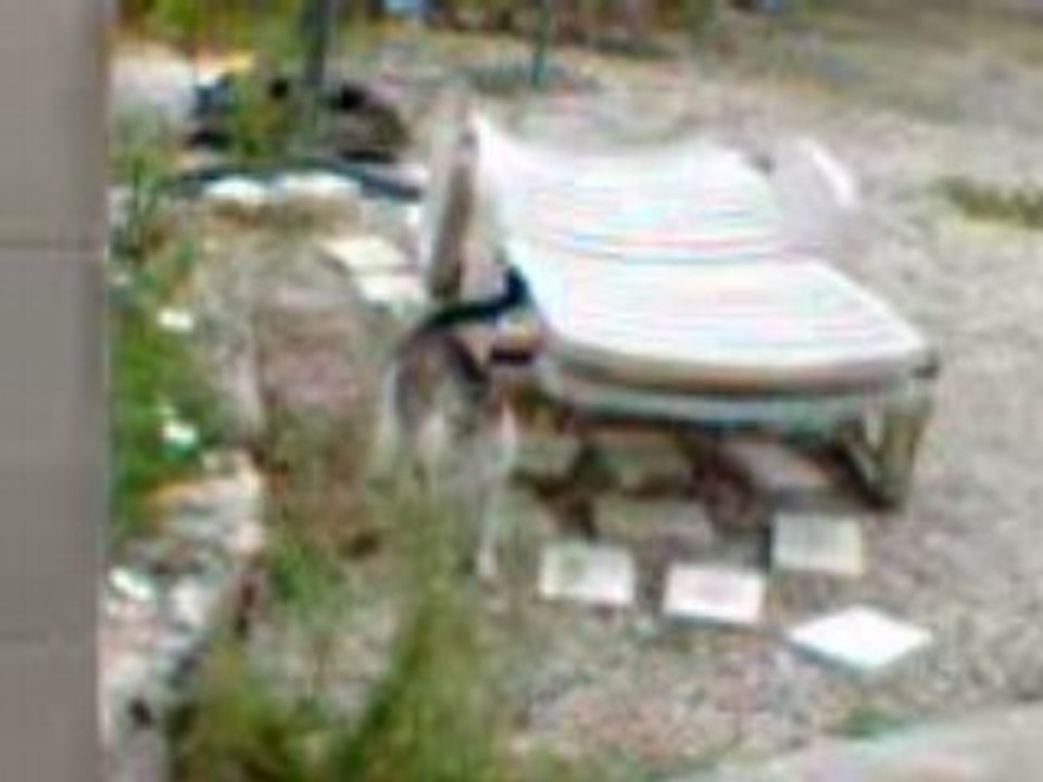Vidéo017